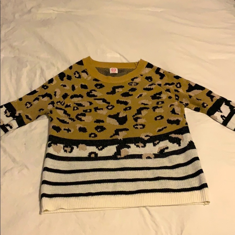 Cheetah print and striped sweater